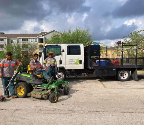 Commercial Lawn Care pic