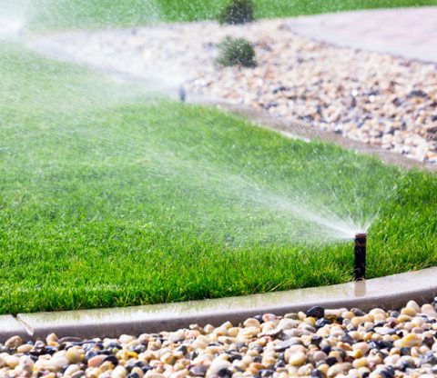 Automatic sprinklers watering lawn
